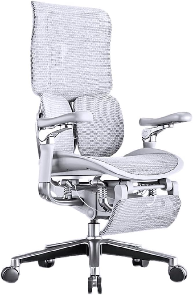 Ergonomic Chair Net Chair, Executive Home Office Chair, with Waist Support, Home Office Backrest Vision